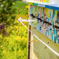 Bee Inspired Program