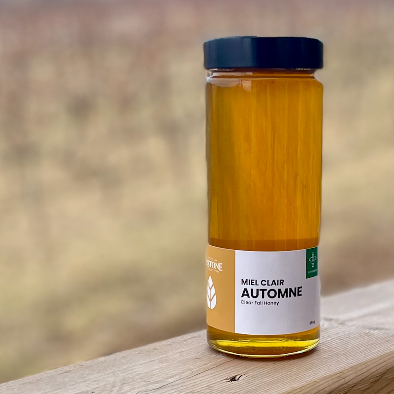 Pure Leystone Honey (Large)