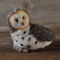 Barn Owl Needle Felt Kit