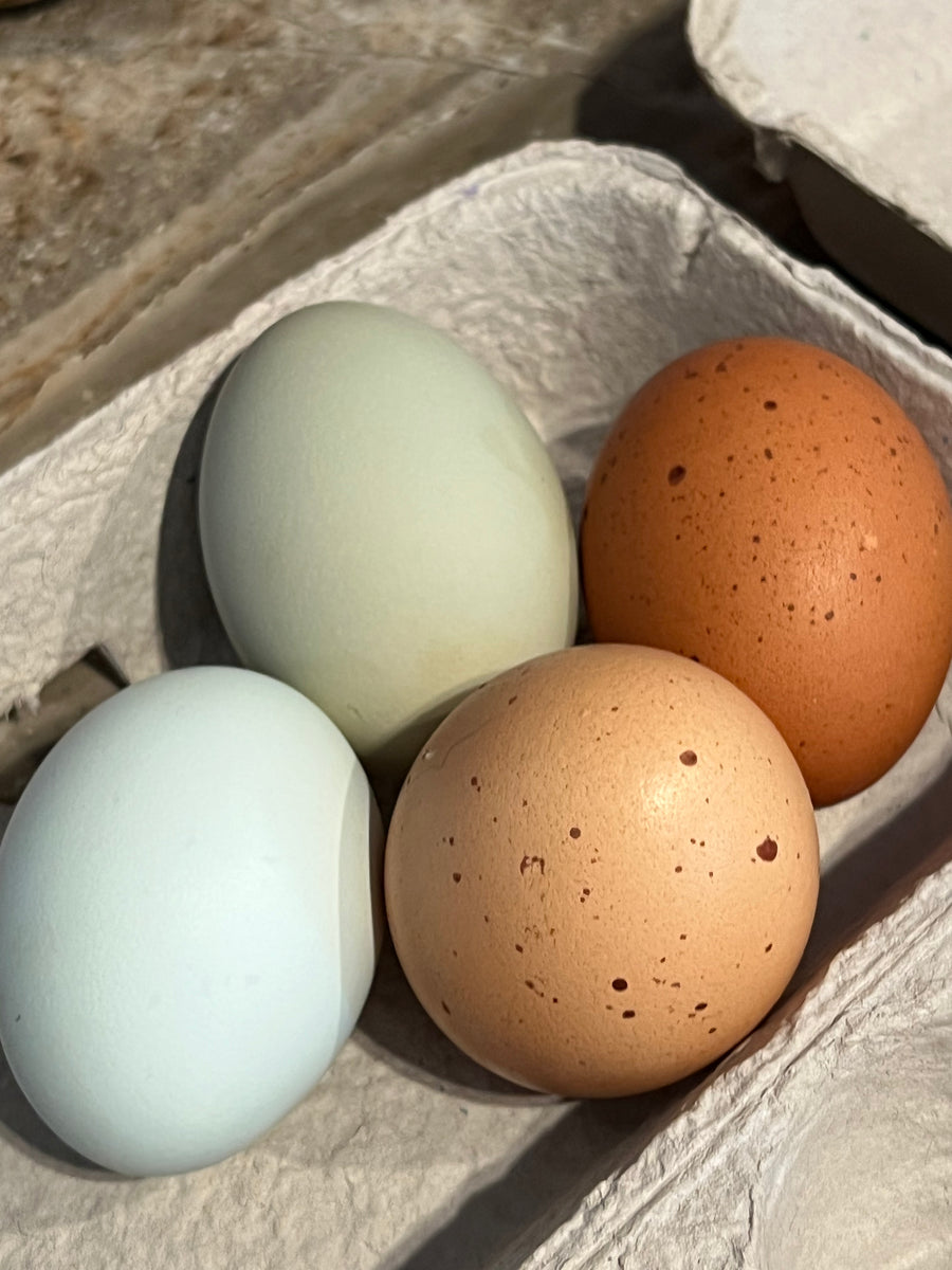 Eggs - Farmgate