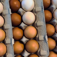 Eggs - Farmgate